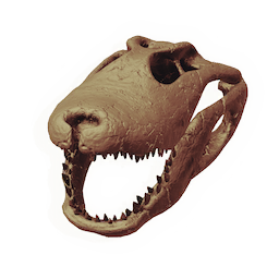 Skull of the Legsnapper