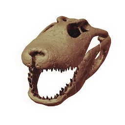 Skull of the Legsnapper