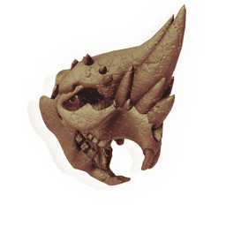 Direhorn Skull