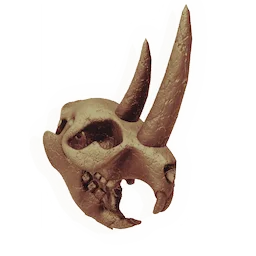 Broadbore Skull