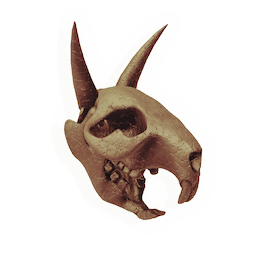 Skull of the Plains Menace