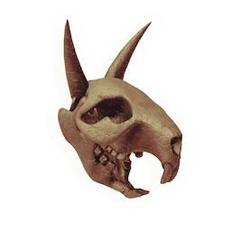 Skull of the Plains Menace