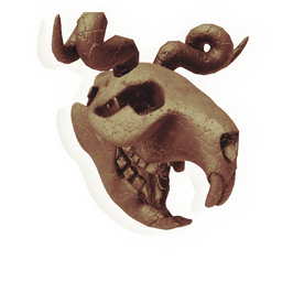 Skull of the Untameable