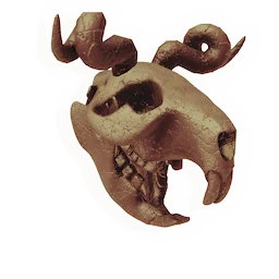 Skull of the Untameable