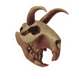 Skull of the Unbroken