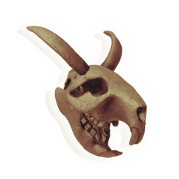 Pegasus Skull