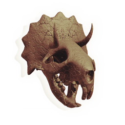 Drayflare Skull