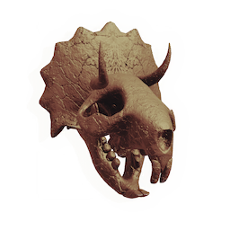 Drayflare Skull