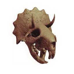 Drayflare Skull