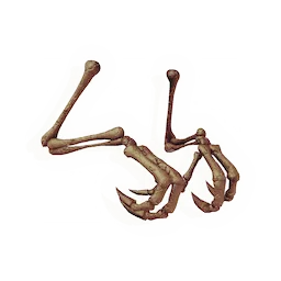 Placed Fossil