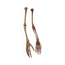 Dangling Forearms