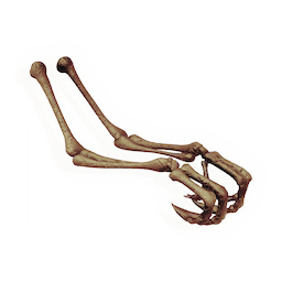Grasping Forearms