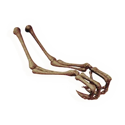 Grasping Forearms