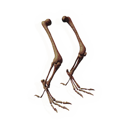 Stalking Leg Bones