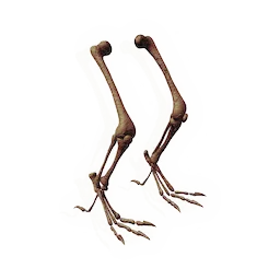 Stalking Leg Bones
