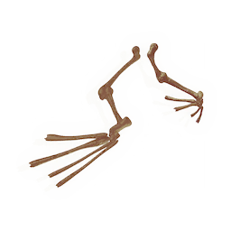 Fossilised Fins