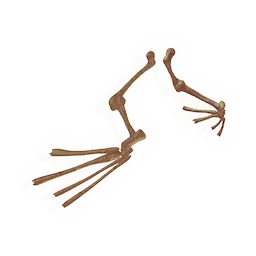 Fossilised Fins