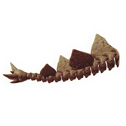 Placed Fossil