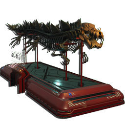 Reptilian Fossil Display