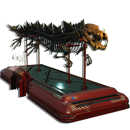Reptilian Fossil Display