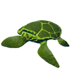 Moon Turtle