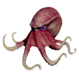 Hypnotic Octopus