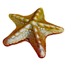 Spiny Starfish