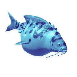 Glacier Carp