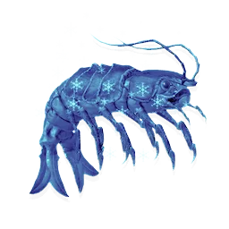 Frozen Isopod