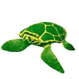 Wandering Shellback
