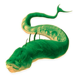 Brain Eel
