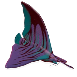 Bewitching Candlefish