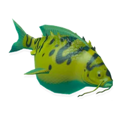 Bladdersac