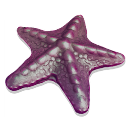 Shalebound Starfish