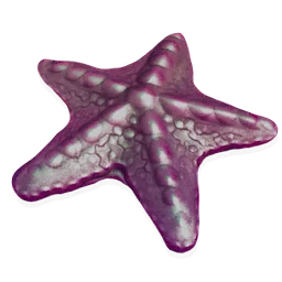 Shalebound Starfish