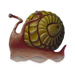 Evaporating Snail