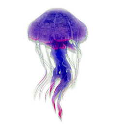 Mineralised Jellyfish