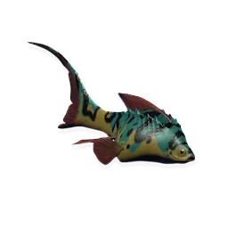 Lavascale Trout
