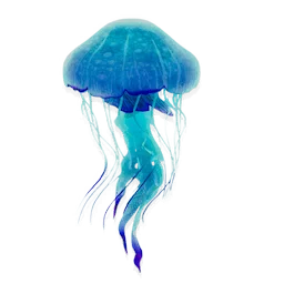 Mellifluous Jellyfish