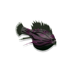 Murmurfish