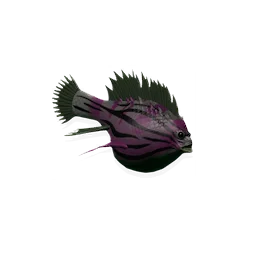 Murmurfish