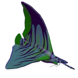 Giant Witchfin