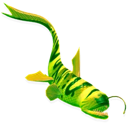 Glowing Catfish