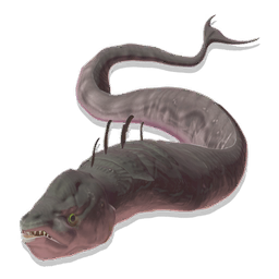Cyclopic Eel