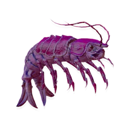 Geno-prawn