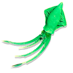 Gamma Squid