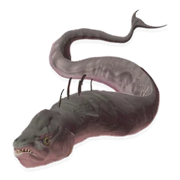 Viper Eel