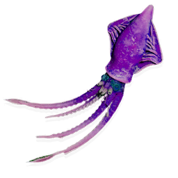 Vampire Squid
