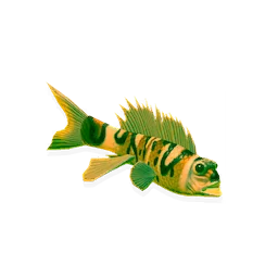 Toxic Stonefish