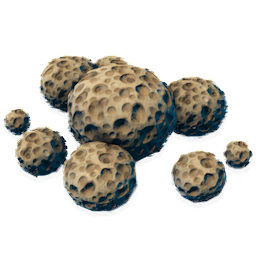 Sea Sponge